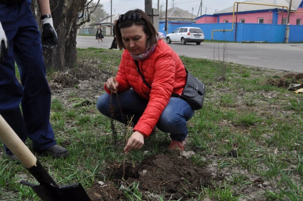 Субботник в Барнауле.