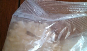 Рис с насекомым.