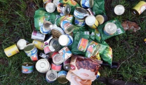 Магазинная кража в Троицком районе.