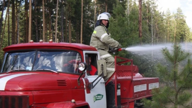 Тушение природного пожара, учения МЧС.