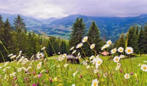 Санаторий-курорт "Аврора" в Белокурихе.