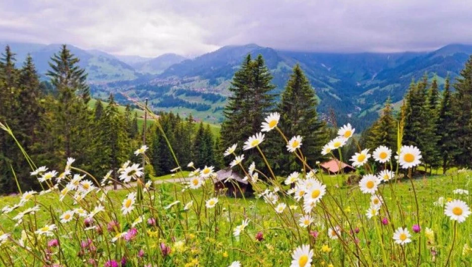 Санаторий-курорт "Аврора" в Белокурихе.