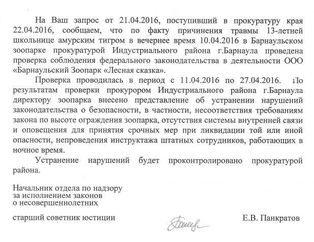 Внесение представления. Ответ на представление прокуратуры. Протокол по представлению прокуратуры. Ответ на представление прокурора по нарушениям 44фз. Поступило представление прокуратуры.