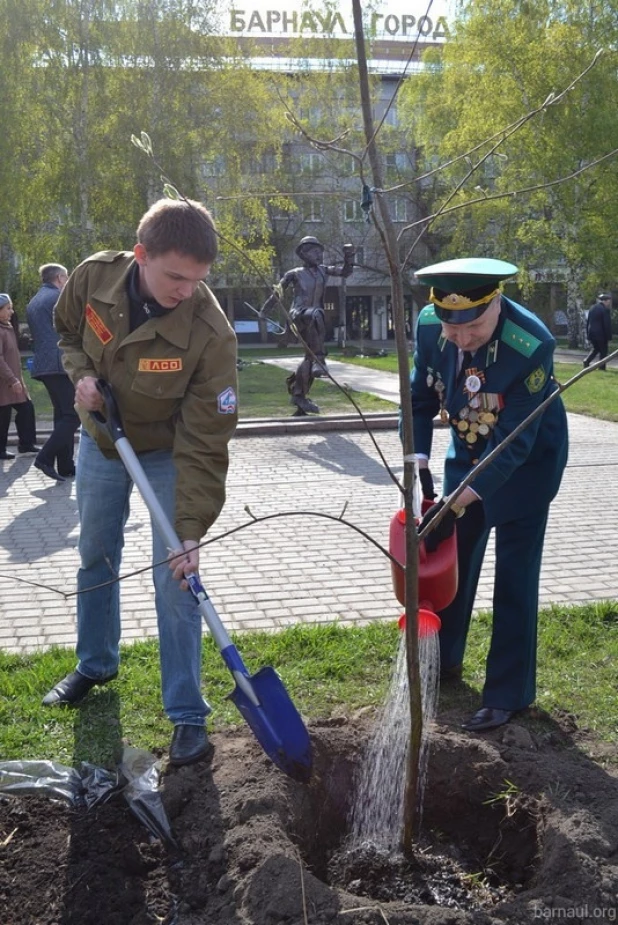 Акция "Лес Победы". 28 апреля 2016 года.