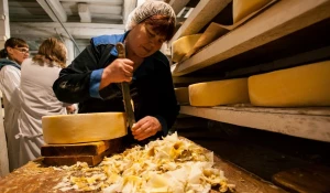 Созревание сыра.