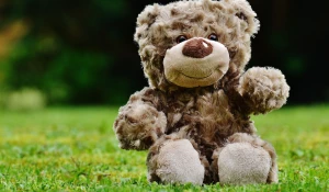 Фестиваль "Нескучный мир" состоится в парке "Лесная сказка" 1 июня.