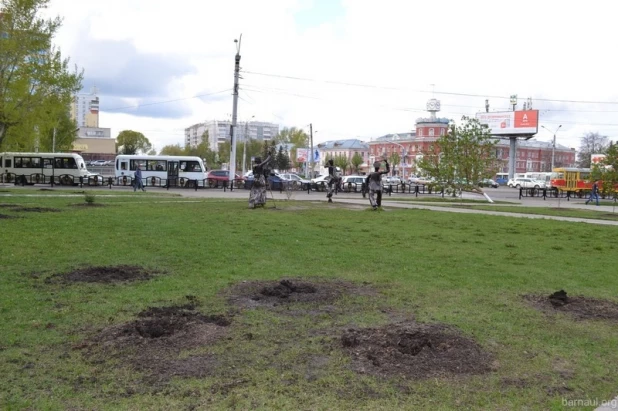 Вандалы вырвали ели в "Лесу Победы".