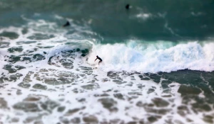 Море. Серфинг.