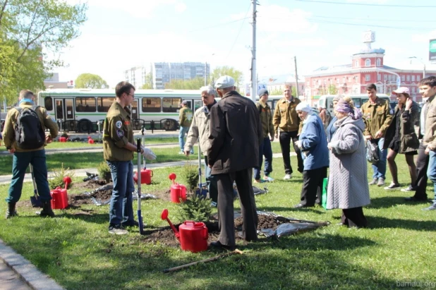 В Барнауле восстановили "лес Победы".