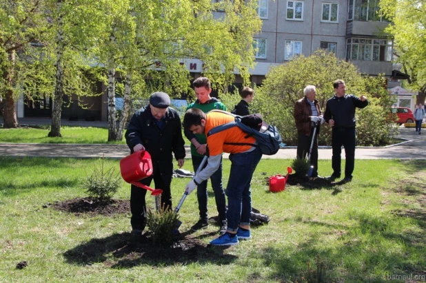 В Барнауле восстановили "лес Победы".