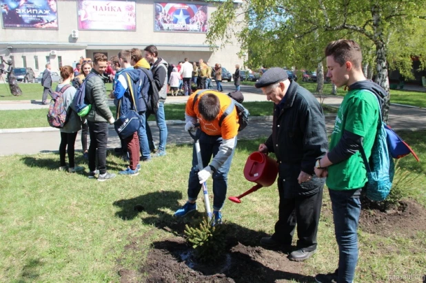 В Барнауле восстановили "лес Победы".