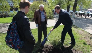 В Барнауле восстановили "лес Победы".