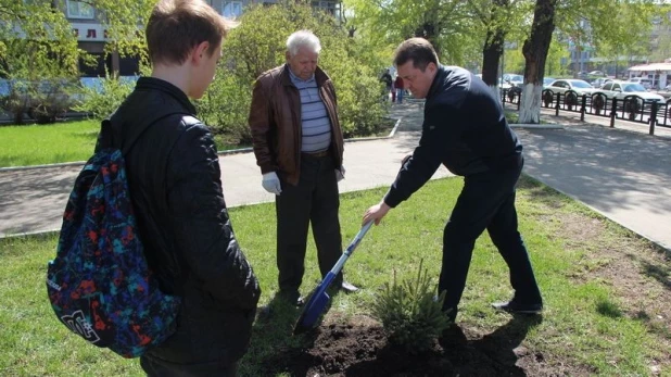 В Барнауле восстановили "лес Победы".