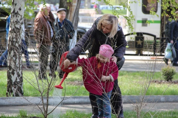 В Барнауле восстановили "лес Победы".