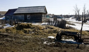 В одном из сел Алтайского края.