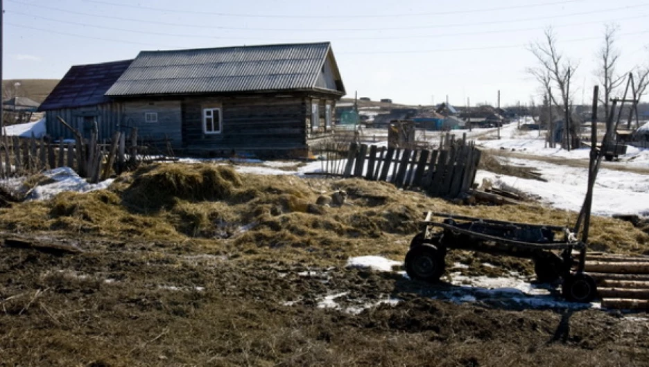 В одном из сел Алтайского края.