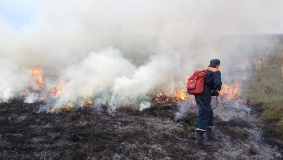 Алтайские пожарные вышли на борьбу с сельхозпалами.