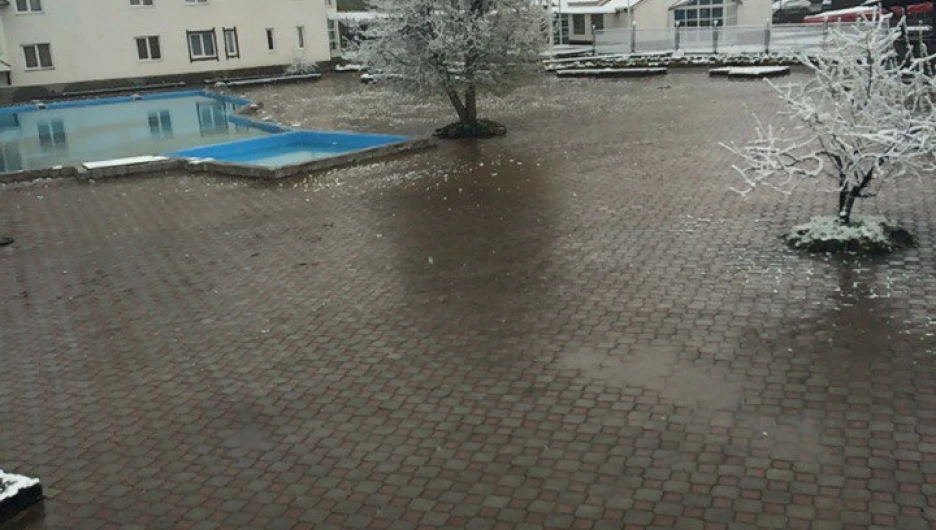 Майский снег на Алтае. 3 мая 2016 года.