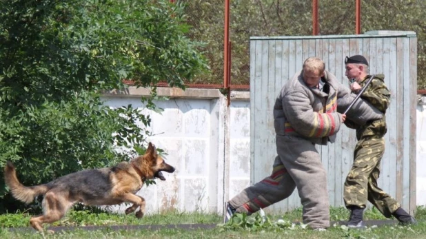 Полиция. Задержание.