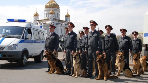 Полиция. Кинологи.