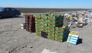 В Третьяковском районе раздавили сотни колограммов санкционных фруктов.