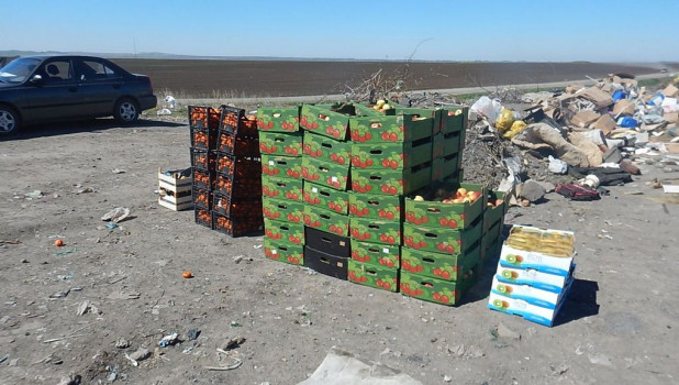 В Третьяковском районе раздавили сотни колограммов санкционных фруктов.