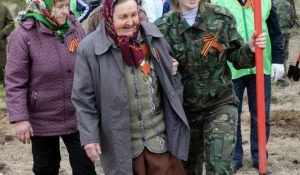 Акция "Лес Победы" в 2015 году.