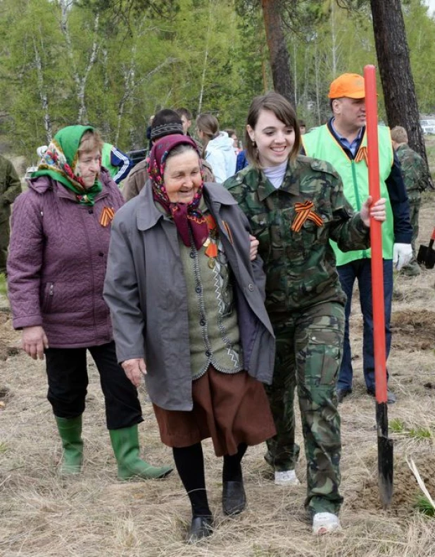 Акция "Лес Победы" в 2015 году.