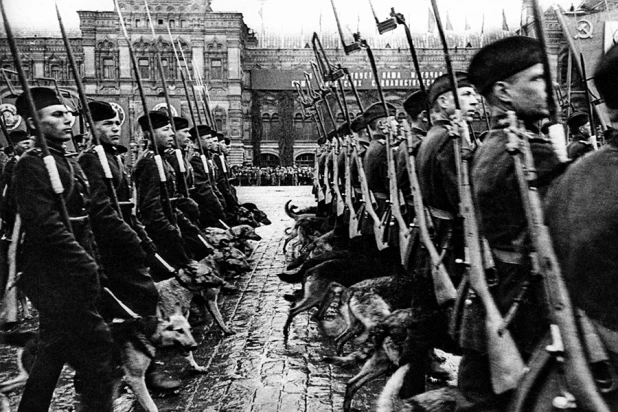 Первый Парад Победы. Москва, 24 июня 1945 года.