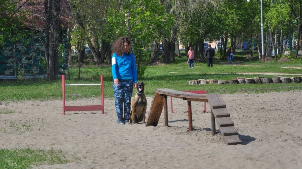 Соревнования по спортивно-прикладному собаководству "Друг полка".