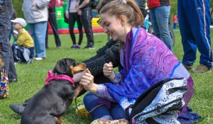 Соревнования по спортивно-прикладному собаководству "Друг полка".