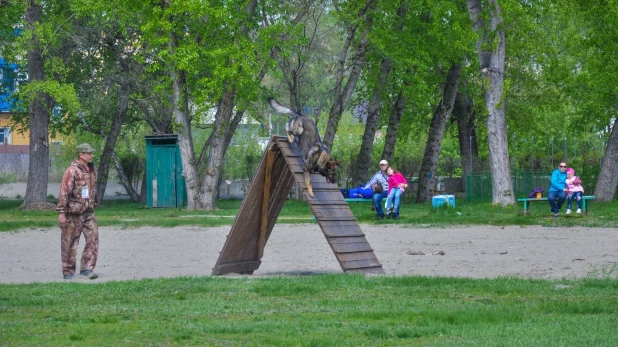 Соревнования по спортивно-прикладному собаководству "Друг полка".