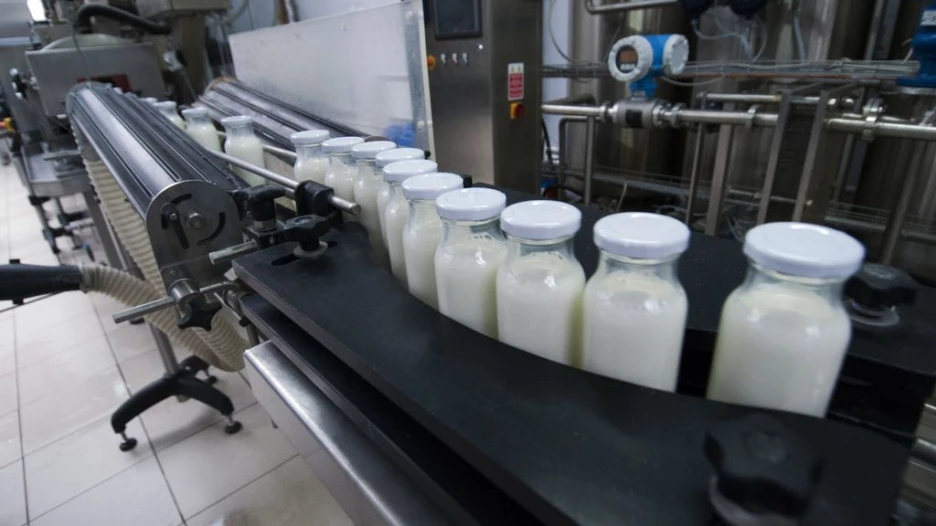 На производстве "Модеста".