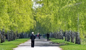 Барнаульцы. Граждане.