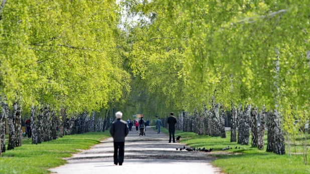 Барнаульцы. Граждане.