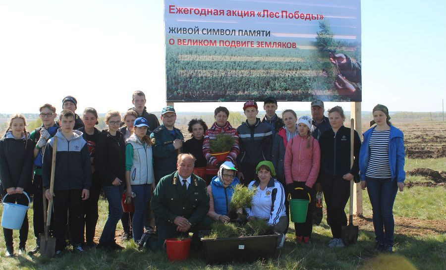 В городах и селах Алтайского края высадили 1 млн новых деревьев.