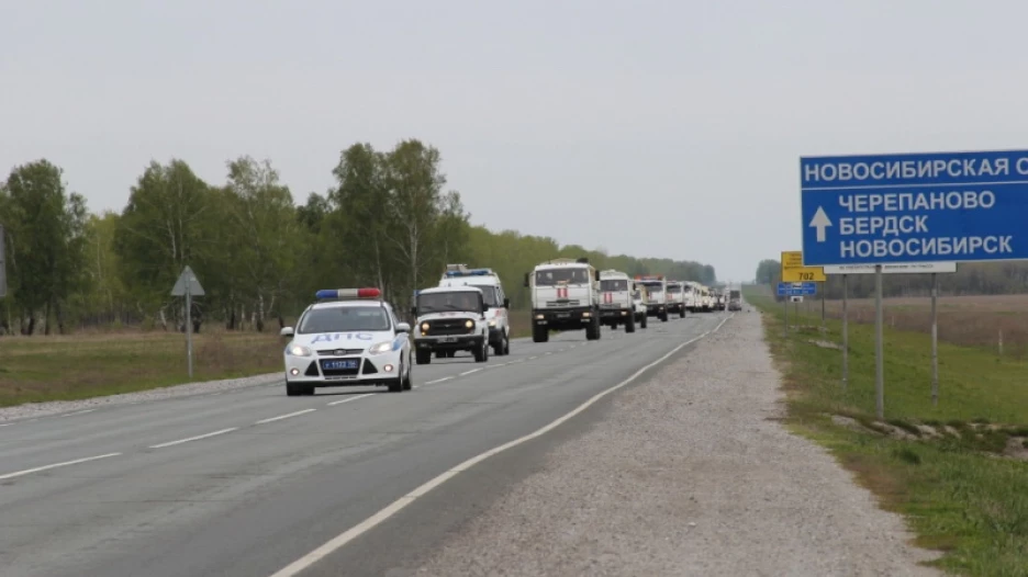 Черепаново Бердск.