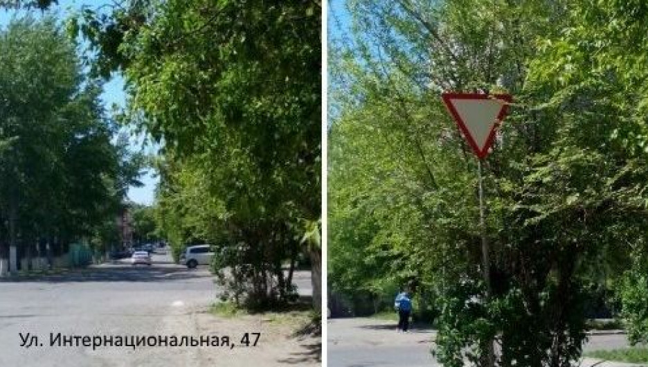 "Знаки-невидимки" в Барнауле