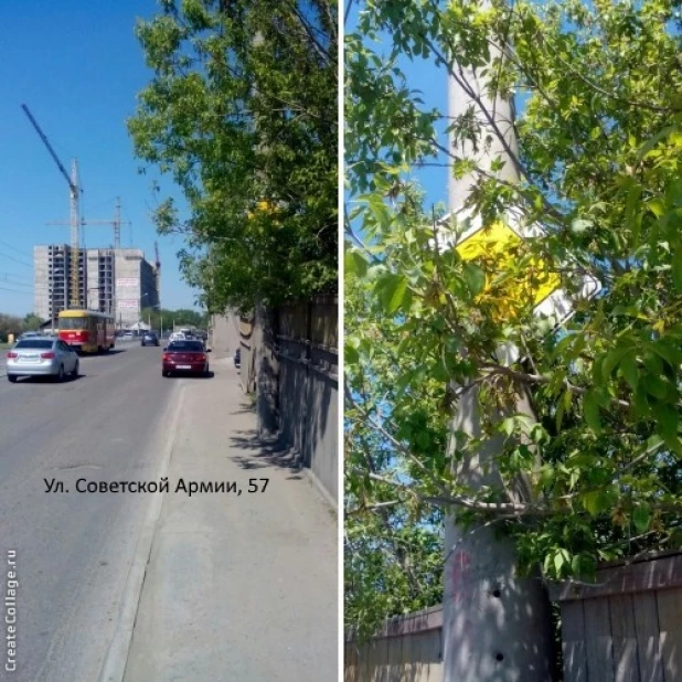 "Знаки-невидимки" в Барнауле