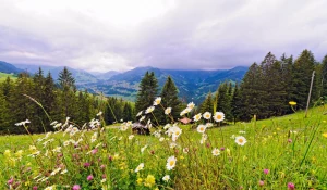 Санаторий "Аврора" в Белокурихе снижает цены в преддверии летнего сезона.