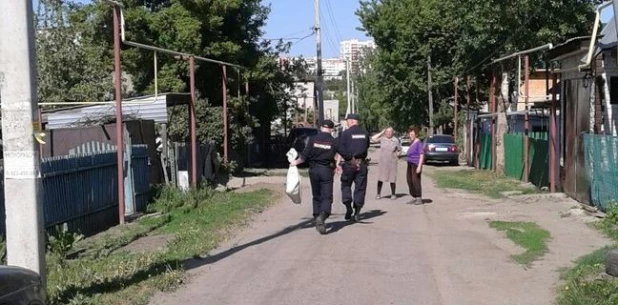 В Барнауле обезьяна гуляла по улицам.