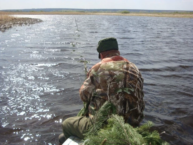 На алтайских водоёмах строят "гнёзда" для рыбы.