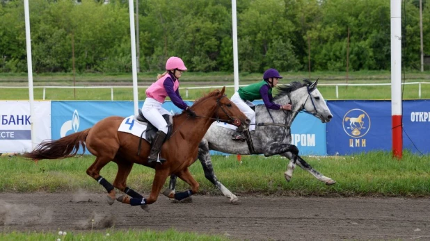 На скачках Grand-Prix Монте-Карло в Барнауле.