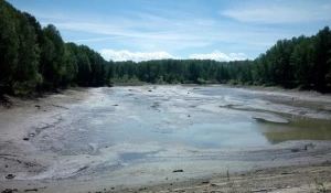 В Новосибирской области спустили пруд.