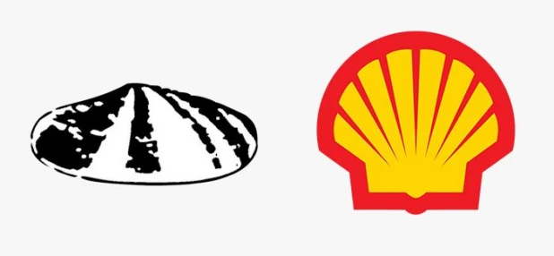 Shell