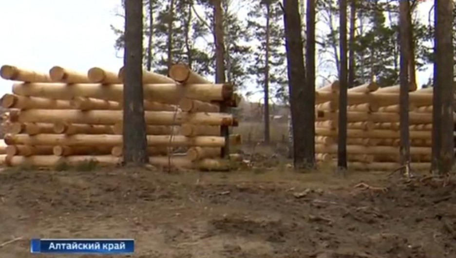 Вырубка леса в поселке Лесном.