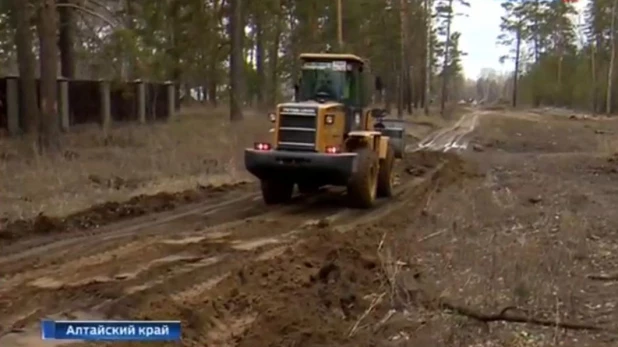 Вырубка леса в поселке Лесном.