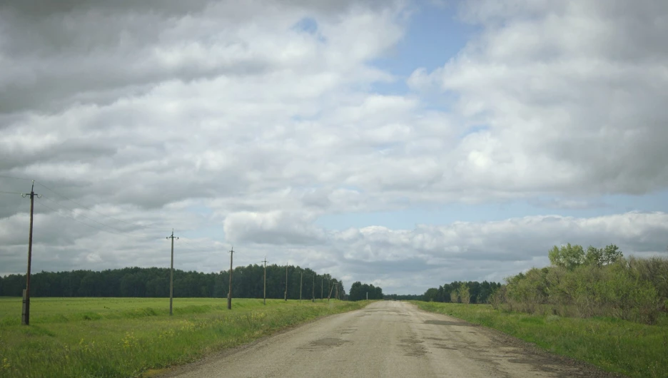 Дорога. Алтайский край.