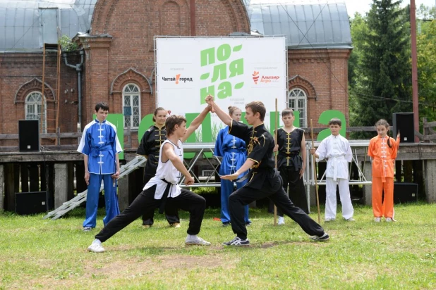 Большой городской пикник "Поляна" в 2015 году.