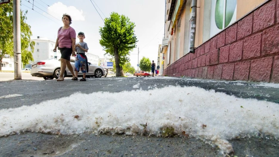 Тополиный пух на улице фото